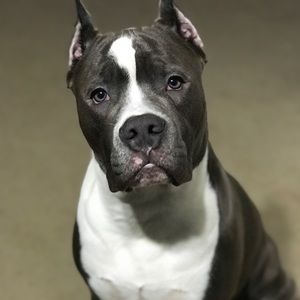 Meet your Posher, Wesley